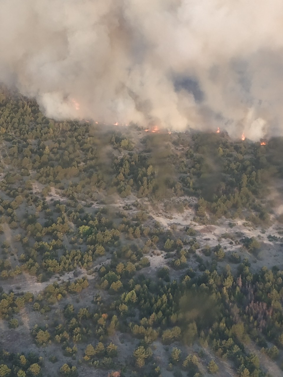 В Чернігівській області триває ліквідація пожежі на військовому полігоні